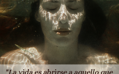 PARA QUÉ ENCARNAMOS? QUÉ ASPECTOS DETERMINAN LA «FORMA» DE MI VIDA? BAJO QUE LENTES MIRO EL MUNDO Y EL MUNDO ME MIRA A MI?